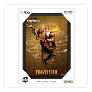 Pixel Frames Plax - Street Fighter 6: Dhalsim - 23cm x 30cm - Picture 1 of 2