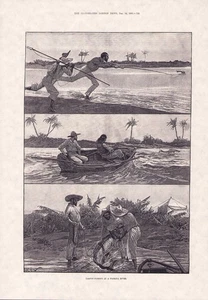 1895 TARPON FISHING IN A FLORIDA RIVER ENGRAVING 16x11 PRINT Read P117 - Picture 1 of 2
