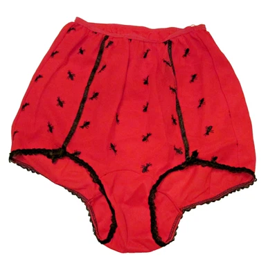 50s Jiffy's Semi-Sheer Nylon Ant Embroidery Mushroom Gusset Granny Panties 6 USA - Image 1 of 4