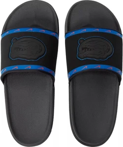 Größe 9 Herren Nike OffCourt Florida Alligatoren UF Schlappen Sandalen schwarz DD0522-001 - Bild 1 von 2