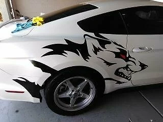 Gráficos Mustang Coyote Foto 1 de 3