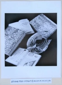 Macabre Photographer Andrea Baldeck Gelatin Silver Print Medical Books & Bones - Picture 1 of 5