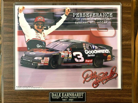 DALE EARNHARDT WOODEN PLAQUE 13''X 10" PERSEVERANCE INTERNATIONAL COLLECTORS COA Cover