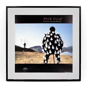 PINK FLOYD Delicate Sound Of Thunder (gerahmt 1988 U.S. "In-Store" Promo Flat) - Bild 1 von 2