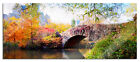 Bridge IN Central Park Panorama Glass Art, Incl. Wall Holder