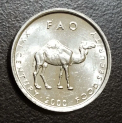 2000 SOMALIA 10 SHILLINGS UNC ALUMINUM COIN FAO CAMEL ANIMAL THEME KM 46 Cover