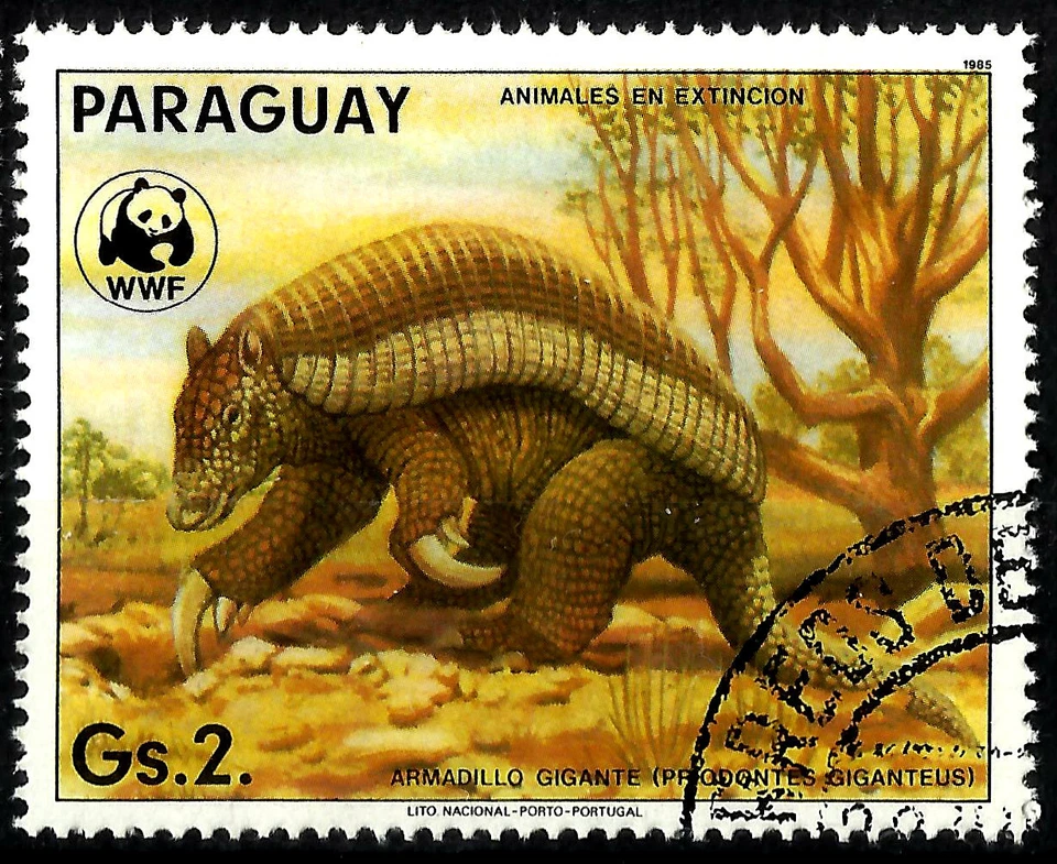 ARMADILLO GIGANTE (Priodontes giganteus), AÑO 1985, WWF Foto 1 de 1