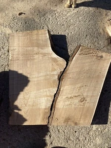 Wood Slab Elm Crotch 20” Long 25” Wide 3” Thick Rough Sawn Crotch Piece, - Picture 1 of 9
