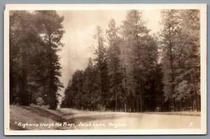 Postcard RPPC c1930s Jacob Lake AZ Highway Through The Pines Kaibab Forest - Picture 1 of 2
