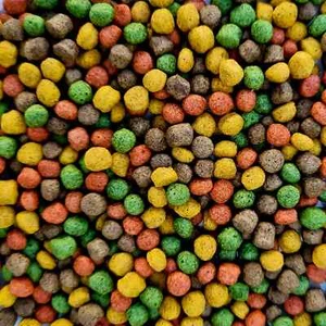 Koifutter 5 kg 6 mm *4 Sorten Multi Mix* Spirulina Astaxanthin Weizenkeime - Bild 1 von 2