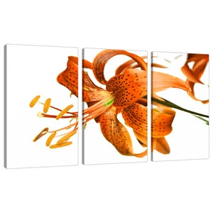 Set of 3 Orange Pictures Canvas Wall Art Bedroom Lounge Prints 3142 - Picture 1 of 1
