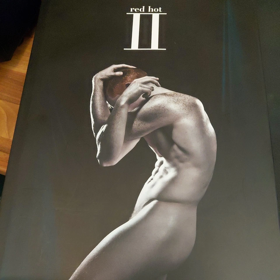 Elliott James Frieze Red Hot II Thomas Knights Gay nude Photography hardcover - Image 1 of 4