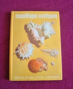 Malacologia Arrecgros Coquillages Exotiques Conchiglie Atlante 1970 - Imagen 1 de 1