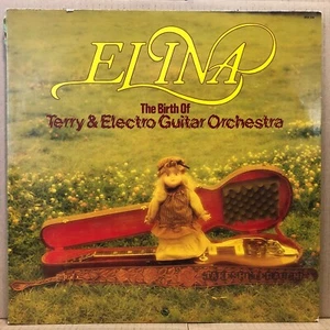 TERRY & ELECTRO GUITAR ORCH ELINA LP Takeshi Terauchi JAPAN Eleki Garage Psych - Picture 1 of 5