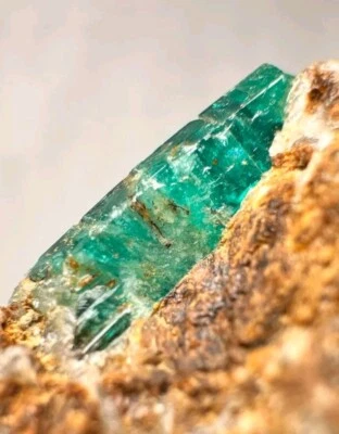 241 Ct. Top Grün ausgezeichnete Smaragd  Kristall aus Panjshir Afghanistan  - Bild 1 von 4