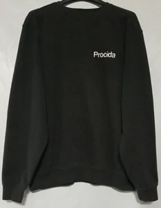 Mens L - CARHARTT K124 BLK BLACK ORIGINAL FIT PULLOVER SWEATER - Picture 1 of 8