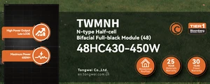 TW 440w Solar Panels 48HC440W 96 Cell Bi-Facial All Black N-type x 10 Panels - Picture 1 of 4