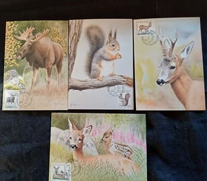 Sweden 1992  Maxi maximum cards Animals Squirrel Elk Roe Deer Kid Stag 4 cards. - Picture 1 of 1