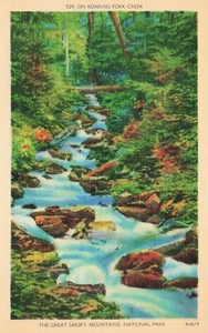 On Roaring Fork Creek, Great Smoky Mountains National Park TN Vintage PC - Picture 1 of 2