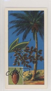 1964 Ringtons Do You Know? Tea Where Dates Grow #8 z6d