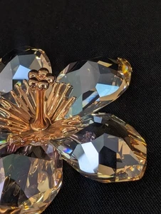 Swarovski Diona Silk Moonlight 956809 Crystal Paradise Flower mit Box - Bild 1 von 8