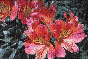 Ölbild Neo-Impressionismus 90 x 70 cm mit Rahmen Red Flower Inka Lilie - Bild 1 von 14