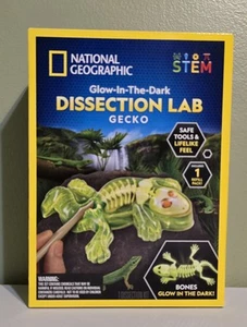 NATIONAL GEOGRAPHIC Kit de Disección de Gecko Laboratorio de Anatomía - Brilla en la Oscuridad - Imagen 1 de 4