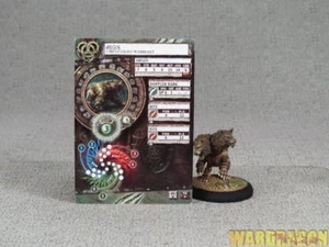 40mm Hordes WDS painted Circle Orboros Argus n95 - Picture 1 of 5