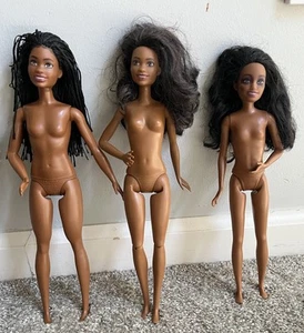 Barbie Fashionista Big City Big Dreams Brooklyn Roberts AA Puppe Lot Nude - Bild 1 von 12