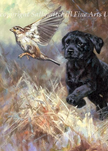 Black Labrador Retriever Christmas cards pack of 10 C457X by John Trickett - Picture 1 of 1