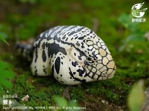 【Auf Lager】Tier himmlischer Körper Merianae argentinisch schwarz weiß Tegu Statue - Bild 1 von 7