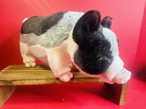 Ganz Webkinz Signature Pot-Bellied Pig WKS1035 14" Plush EUC Realistic - Picture 1 of 5