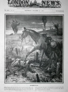 FIDELIDAD: Caballo aterrorizado dejado en el campo de batalla junto al jinete muerto: 1917, de colección  - Imagen 1 de 1