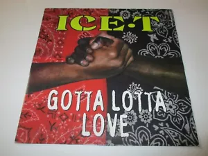 Ice-T - Gotta Lotta Love Vinyl 12” 1993 Warner Brothers Promotional NM - Picture 1 of 4