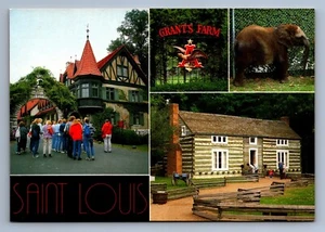 Postkarte Vintage Missouri St Louis Grants Farm Stadtrand Clydesdale 4 x 6 - Bild 1 von 2