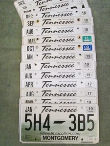 Authentic Tennessee License Plate Volunteer State for 50 State Collection Rustic - Picture 1 of 1