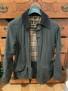 barbour ashby bark