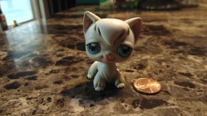 Authentic Littlest Pet Shop #9 White Angora Longhair Cat 2004 - Picture 1 of 3