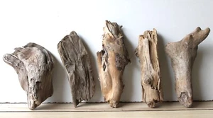 Legno galleggiante Driftwood 5 legni nodosi terrario 18-27 cm **253** - Foto 1 di 15