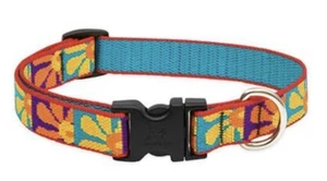 Lupine 4 Foot Dog Leash & Matching Collar 12” - 20” Both 3/4” Wide -Crazy Daisy - Picture 1 of 6