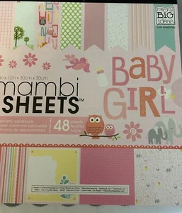 Me & My Big Ideas - Baby Girl Scrapbook Papers -48 sheets - 12x12 - Picture 1 of 5