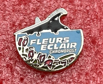 T33 Pins Avion LE CONCORDE & FLEURS ECLAIR Air France British Airways lapel pin - Photo 1/2