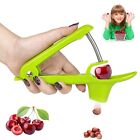 Portable Cherry Pitter Tool Cheeries Corer Pitter Tool Cherry Seed Remover St...