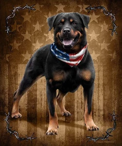 Plush Queen Size Dog Blanket - Extremely Soft - Patriotic to the Bone - Picture 1 of 3