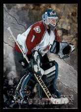 1998-99 Be A Player Toronto Fall Expo #185 Craig Billington /5