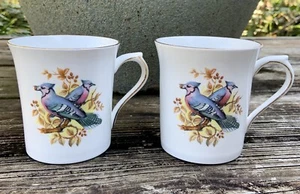 Queen’s Fine Bone China Birds of America BLUE JAY Rosina England Cup Mug Set EUC - Picture 1 of 12