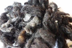 Scoured Fleece Natural Raw Undyed UK Wool 25g 7 Types Needle Felting Spinning - Picture 1 of 25