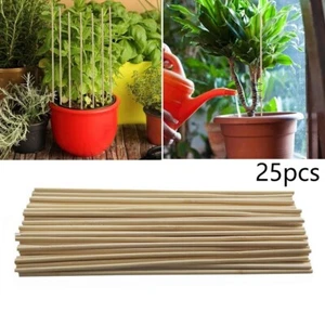25*Bamboo-Sticks Trellis Stakes Kit For Garden Plants Support Tomatoes Peas~ - Picture 1 of 11