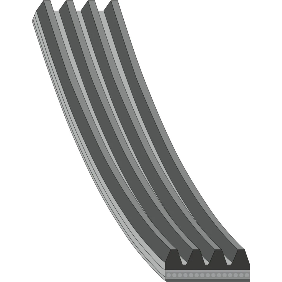 febi bilstein 28764 Keilrippenriemen für FORD COURIER ESCORT 91 95 CLASSIC I - Bild 1 von 1