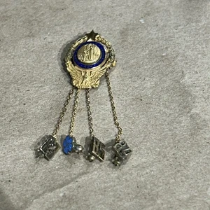 Service Pin DAV Disabled American Veterans Auxiliary Past Commander 10k GF - Picture 1 of 12